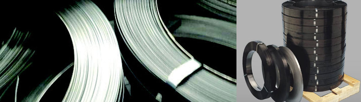 pet_strap_1st